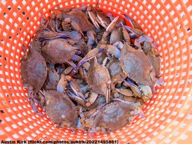 Basket of crabs with Attribution